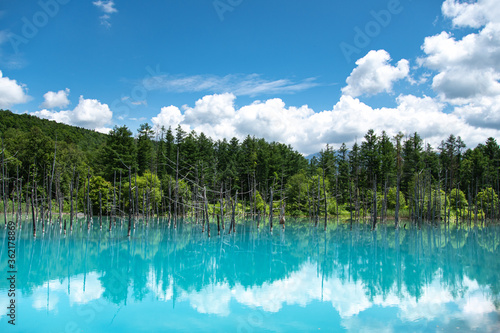 7月青の池と夏雲リフレ