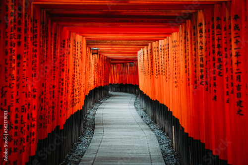 Fényképezés Japanese temple torii gates in Kyoto, Japan. (Fushimi Inari).