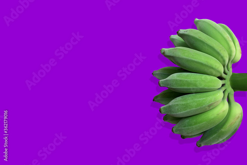 bunch of green bananas isolated on purple background © paspas