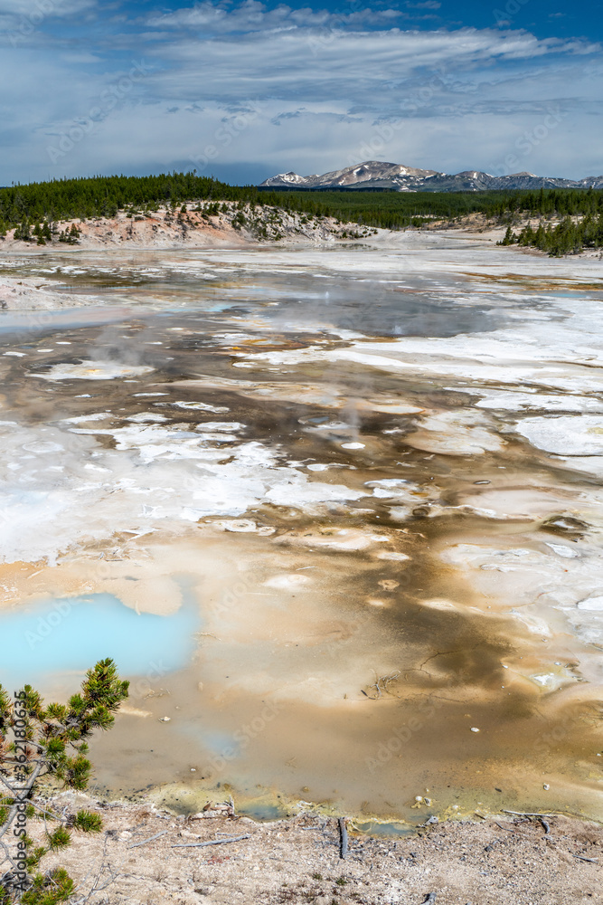Hydrothermal 4 pools causing rising stream and bubbling water extracting minerals from the ground in various colors of green, gray and orange, Norris Porcelain Basin, Yellowstone National Park Hydrothermal 4 pools causing rising stream and bubbling water extracting minerals from the ground in various colors of green, gray and orange, Norris Porcelain Basin, Yellowstone National Park
