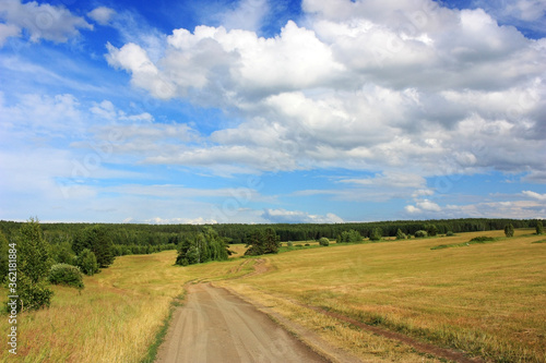 Country road in the steppe