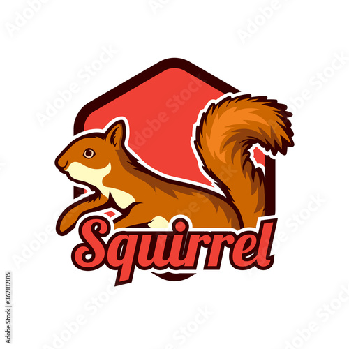 squirrel logo isolated on white background vector illustration