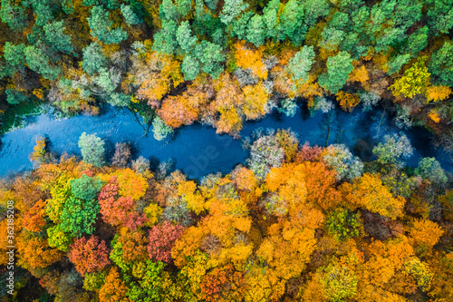 Yellow forest in autumn and blue river, view from above