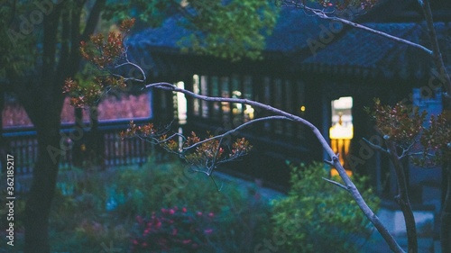 wood house along the river