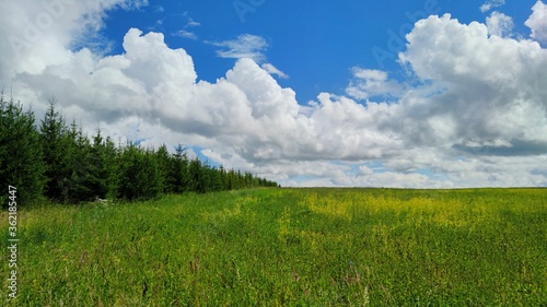 beautiful blue sky with clouds over a green field