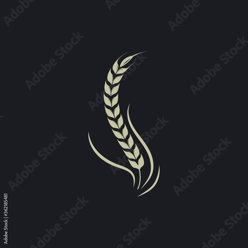 Agriculture wheat   vector icon illustration design