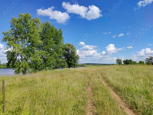 country road in a field near birches on a sunny day against a blue sky with clouds