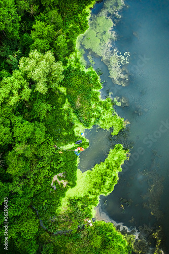 Amazing blooming algae on the river in spring, flying above