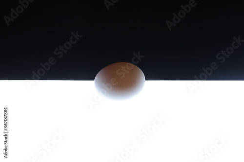 black egg on a white background