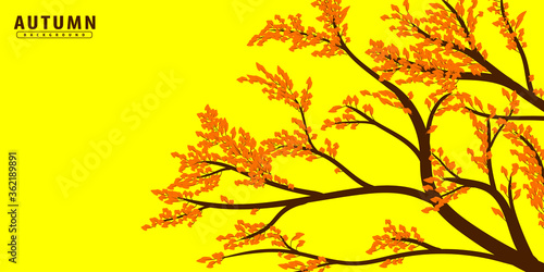 tree, web, floral, environment, yellow, orange, flyer, card, plant, abstract, color, october, september, art, seasonal, branch, element, concept, template, frame, nature, colorful, autumn, illustratio