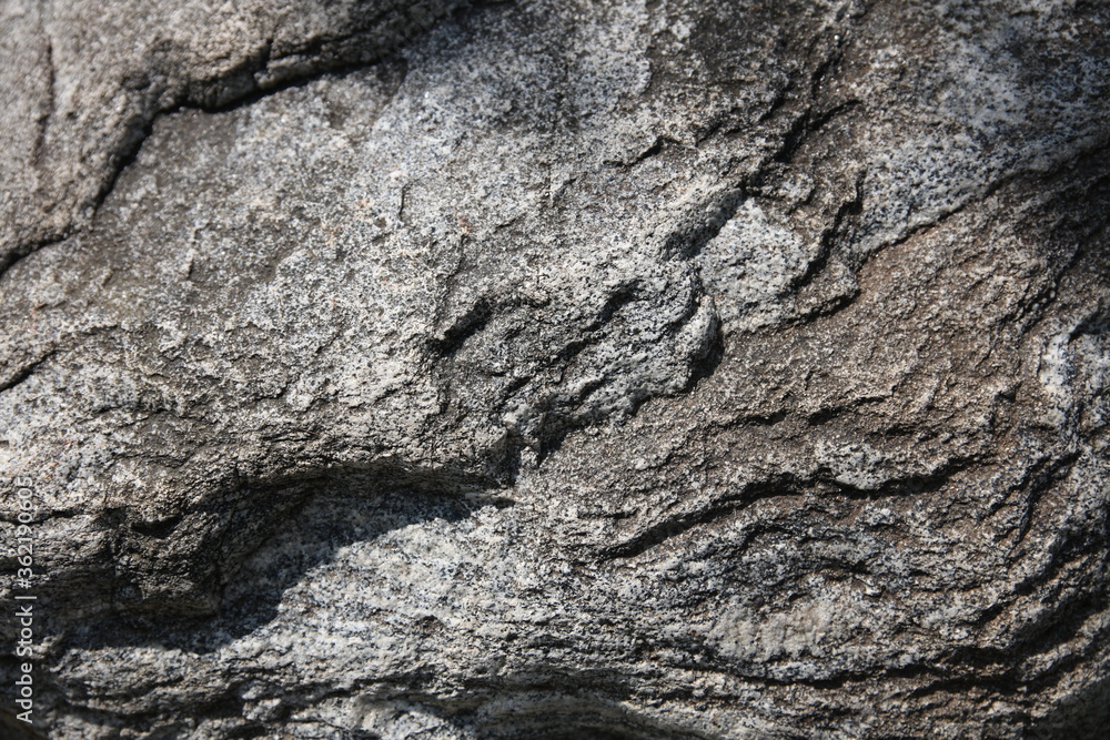 The surface details and textures of big stones in the park