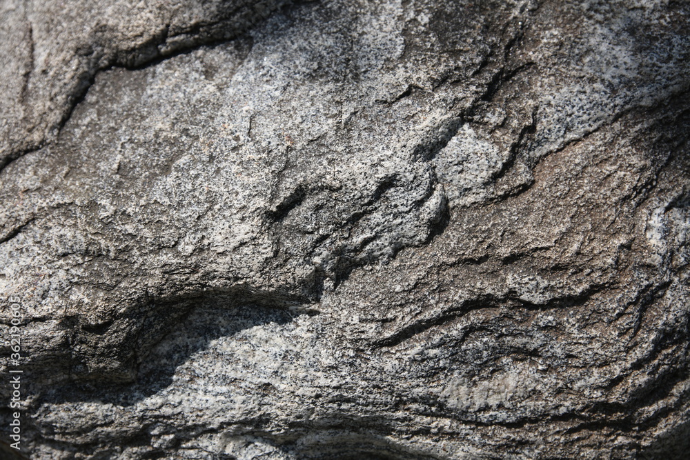 The surface details and textures of big stones in the park The surface details and textures of big stones in the park