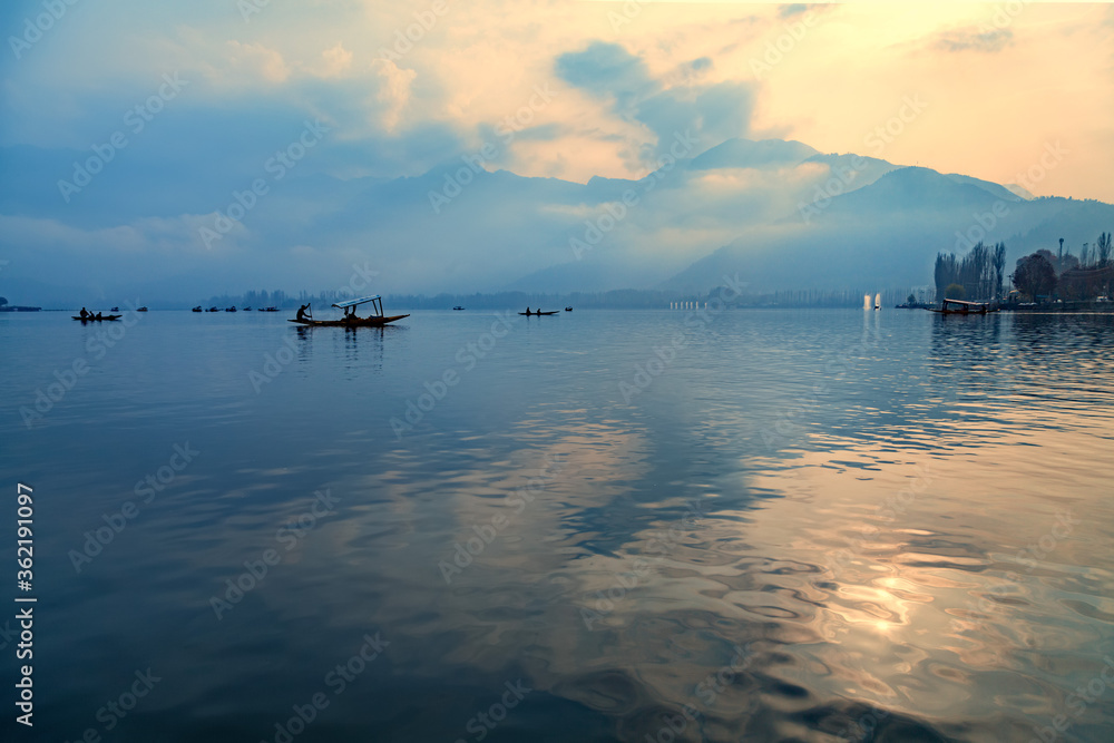 Shikara boats on Dal lake in Srinagar