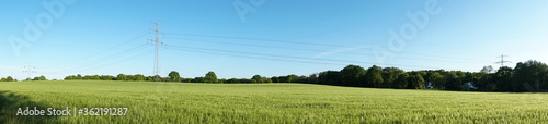High Voltage Electricity Pylon over Wheat Field in Summertime - Panorama