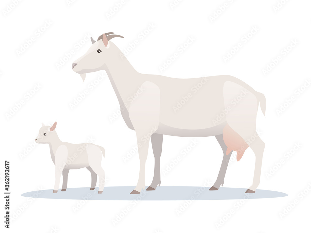 Naklejka premium Vector illustration of goat with young goatling. Farm animals, domestic small cattle adult and young.