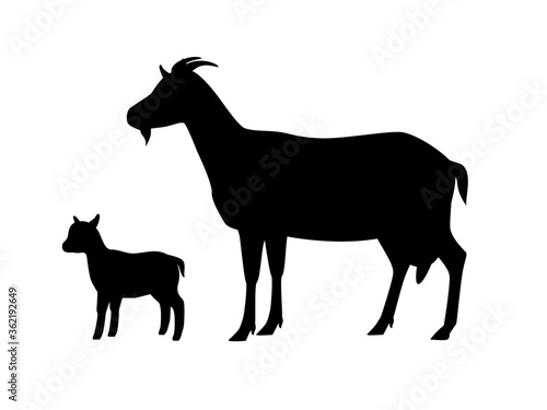 Vector illustration of goat with young goatling. Silhouettes of farm animals, domestic small cattle adult and young.
