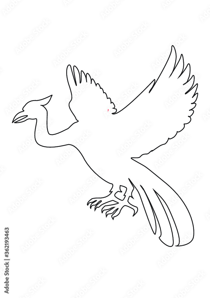 Obraz premium black outline of flying bird