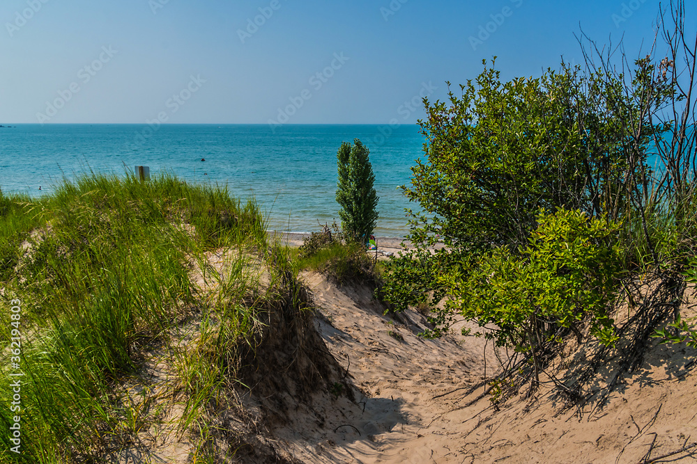 Pinery Provincial Public Park: breathtakingly beautiful park with 10 km of sand beach on the shores of mighty Lake Huron, Coastal Dune Ecosystems. Ontario, Canada. Pinery Provincial Public Park: breathtakingly beautiful park with 10 km of sand beach on the shores of mighty Lake Huron, Coastal Dune Ecosystems. Ontario, Canada.