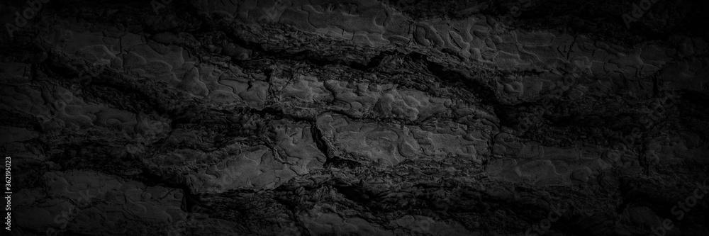 Tree bark texture painted black as a background