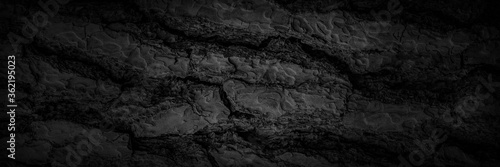 Tree bark texture painted black as a background © PopsaArts