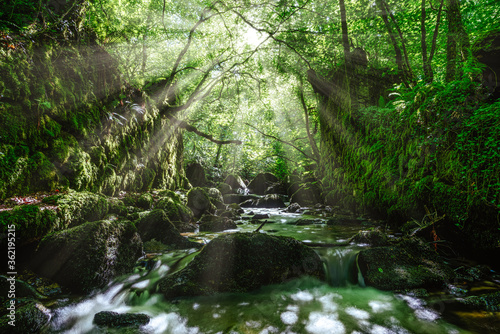 kennall vale sunbeams old gunpowder works 