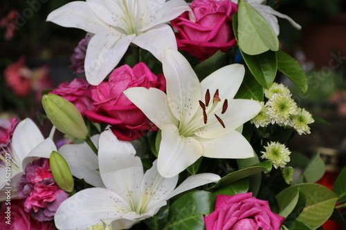 bouquet of flowers photo