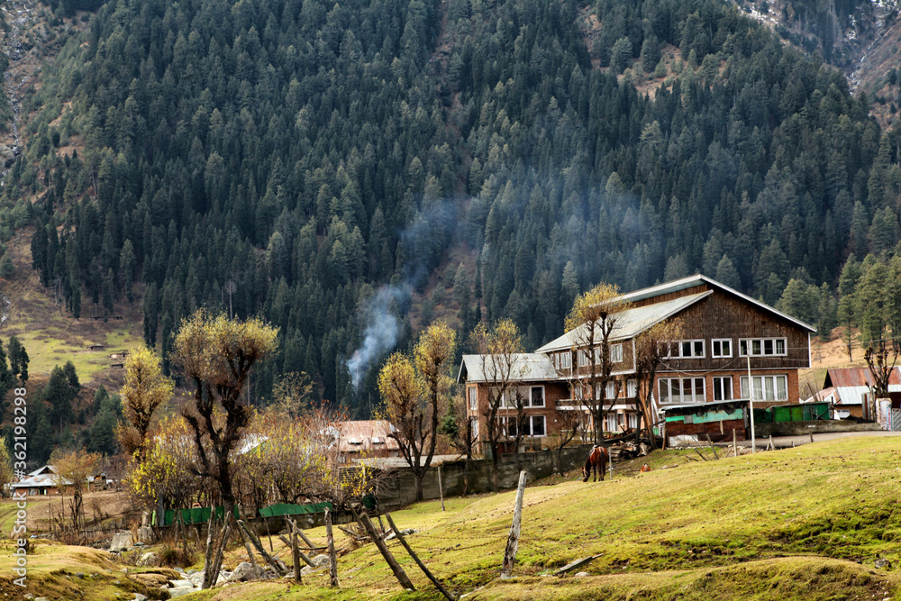 Fototapeta premium Tourist Hotel at Aru Valley Near Pahalgam, Kashmir, India