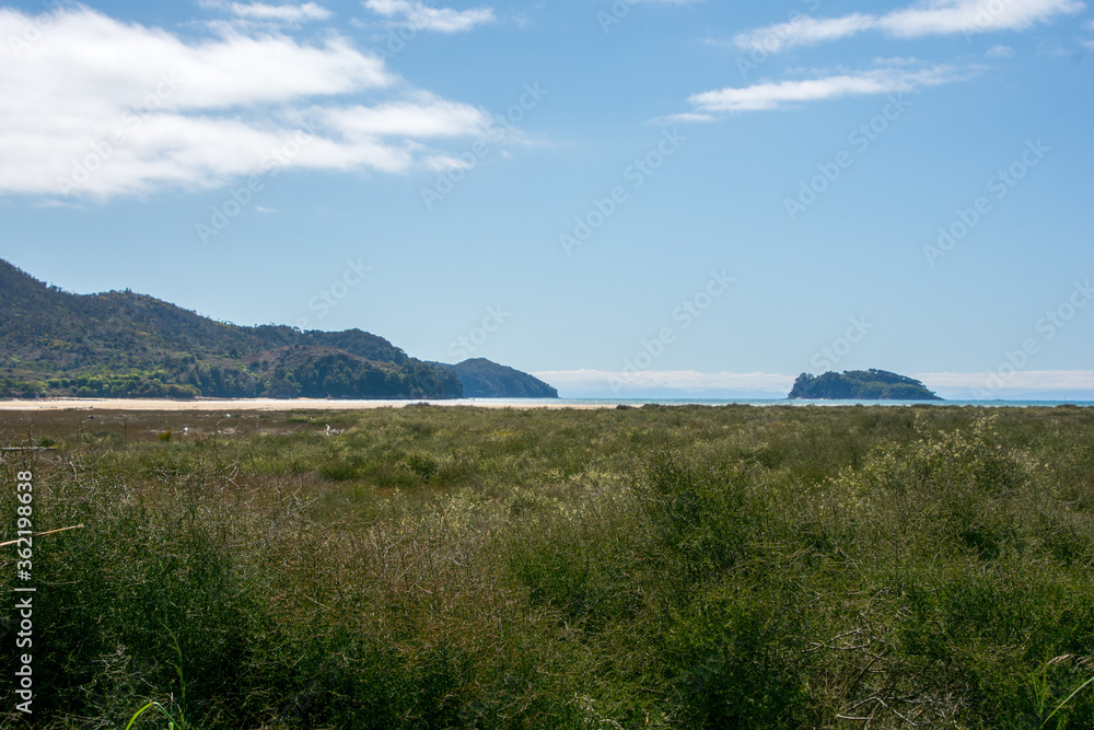 View of the coast of the Abel Tasman National Park, New Zealand on a sunny summer day