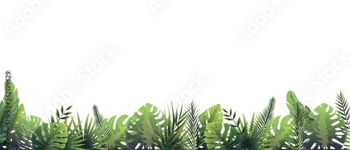 Green fern background after rain. Rainforest horizontal decoration in rainy weather floral botanical background elegant bright green fern leaves, wild natural lawn in vector colors.