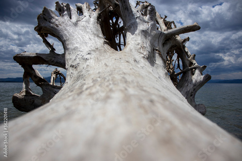 log