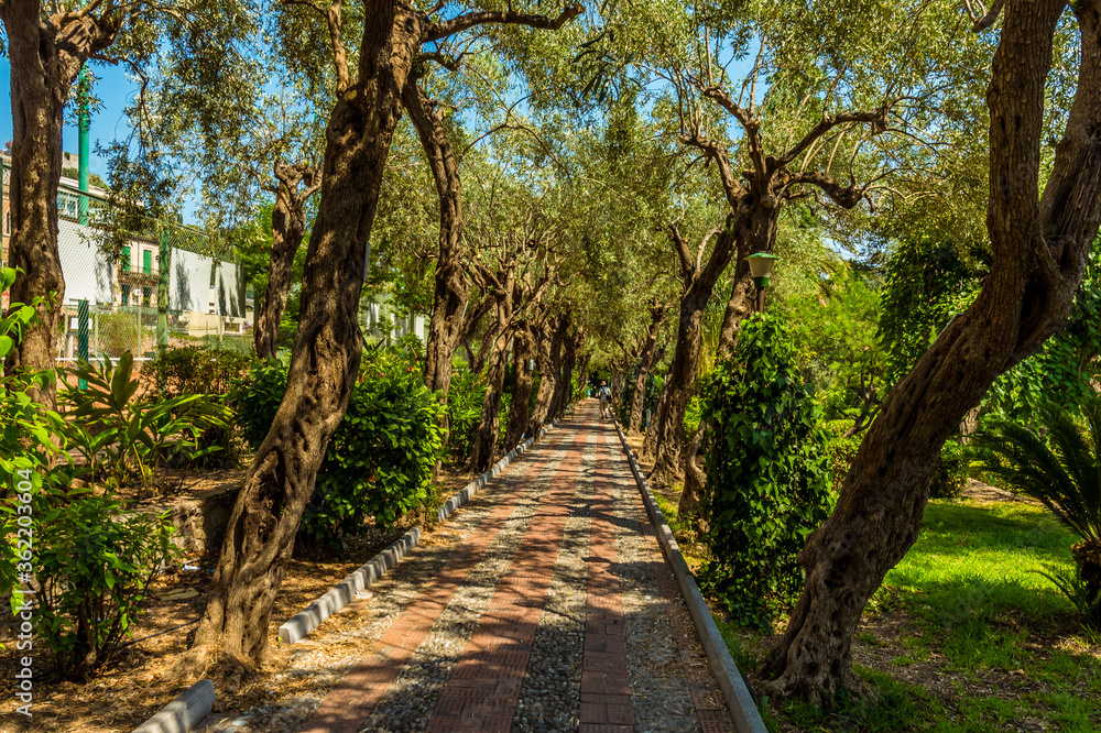 A pathway leading into the Garden of Villa Comunale, Taormina, Sicily in summer