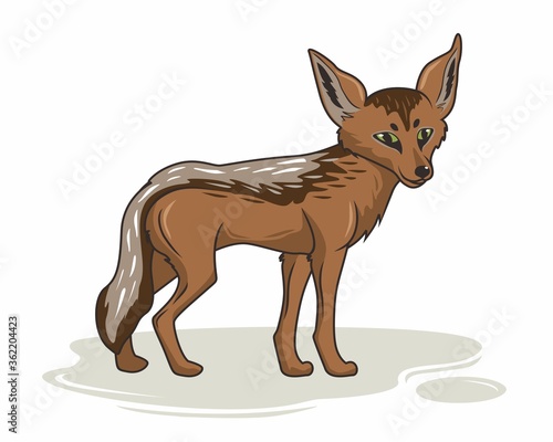 Jackal Cartoon