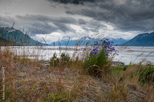 The Turnagain Arm near Anchorage, Alaska on a stormy day
