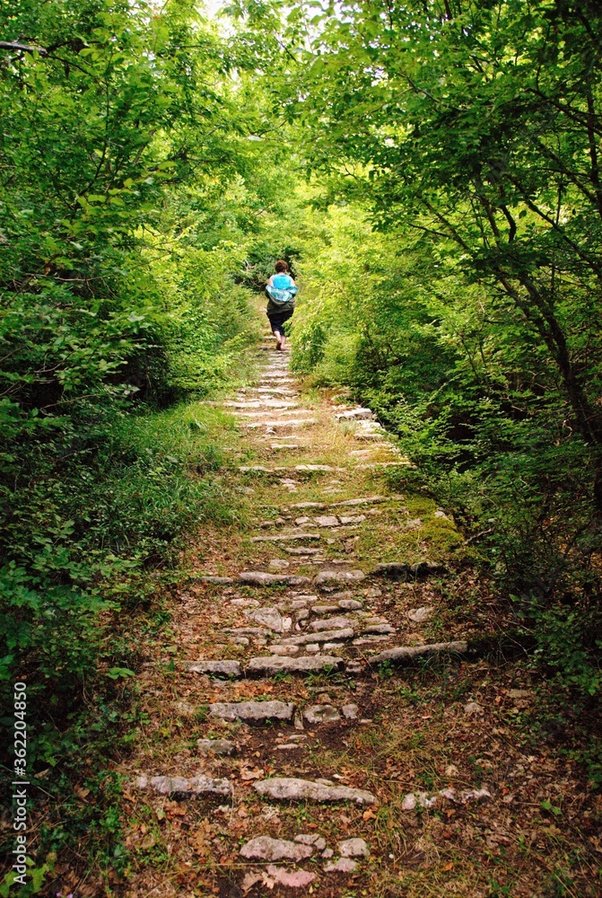 Fototapeta premium Traditional stone-made footwalk from Vitsa village to Koukouli village in Zagoria area, north-western Greece.
