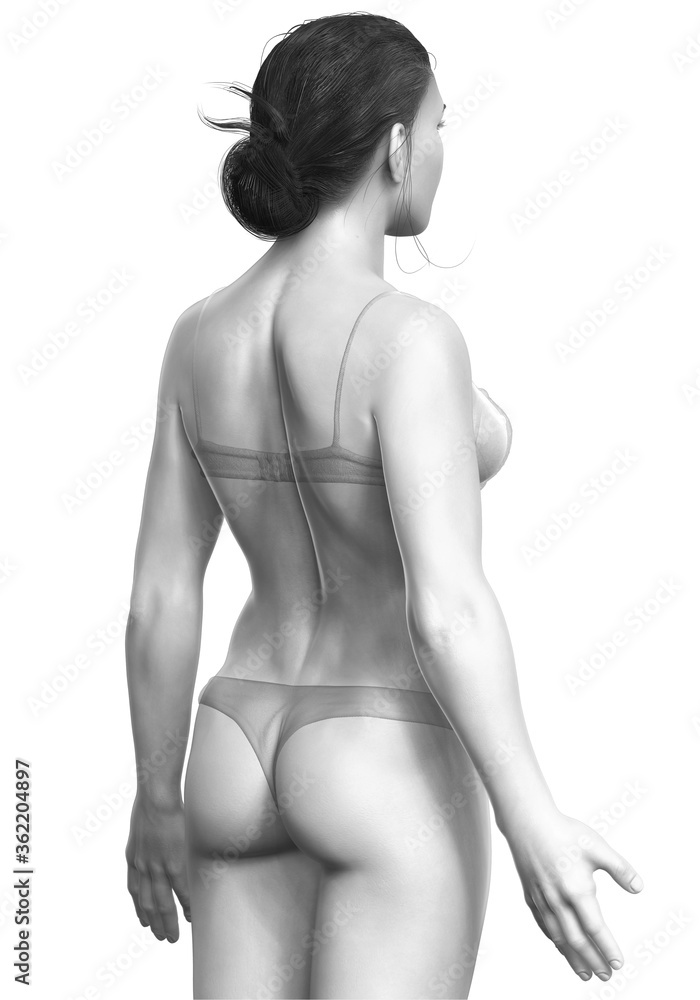 3d rendered illustration of the female body 3d rendered illustration of the female body
