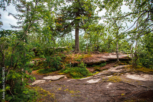 Russian forest  stone city  Russia