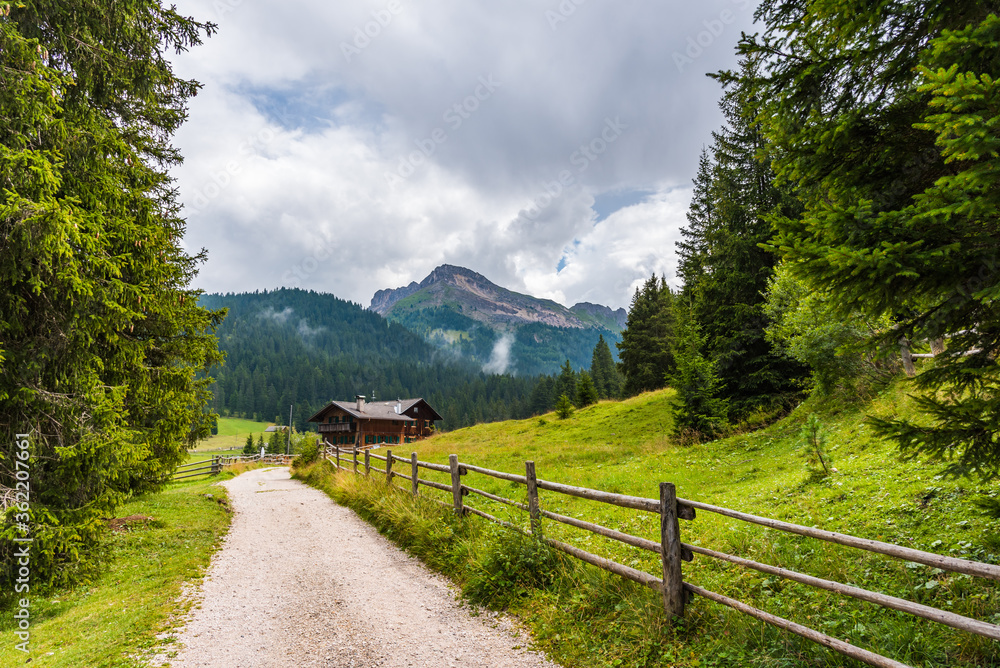 Forest road in the mountains and a wooden house Forest road in the mountains and a wooden house