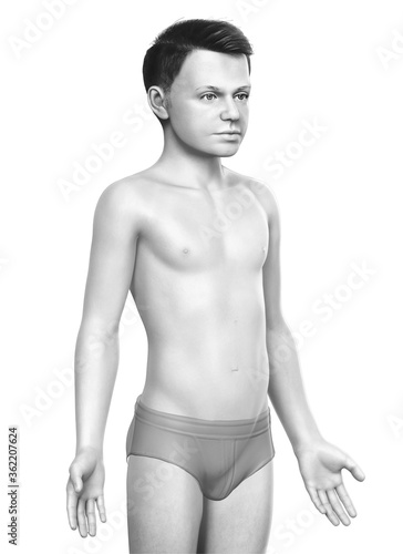 3d rendered illustration of the young boy body
