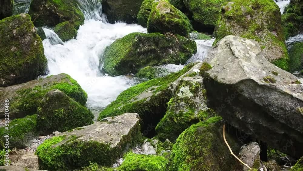 hairy landscape that forms the water as it flows between the stones in the mountain hairy landscape that forms the water as it flows between the stones in the mountain