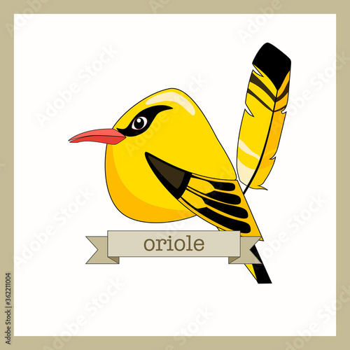 Flat style birds with feather. Oriole bird. Cartoon design. Hand drawn color vector. Modern fashionable illustration. All elements are isolated.