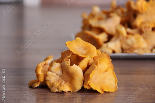 Fresh forest Chanterelle mushrooms on a wooden table, close view