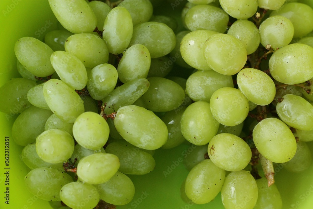 Ripe green grapes in a bowl macro Ripe green grapes in a bowl macro