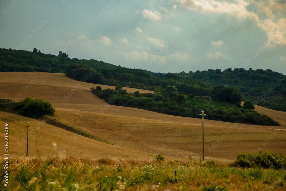 Obraz premium Walking in nature