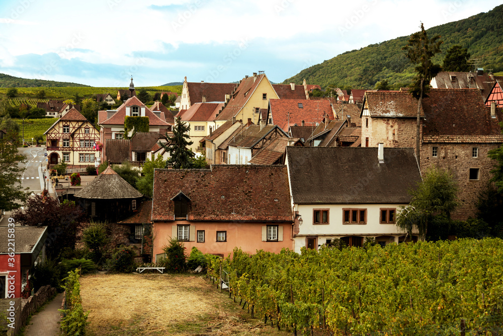 Pretty authentic french village and vineyard. Travel concept.