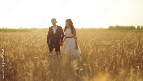 The bride and groom hold hands  hug each other and walk in the park. Sunset light. wedding. Happy love concept.