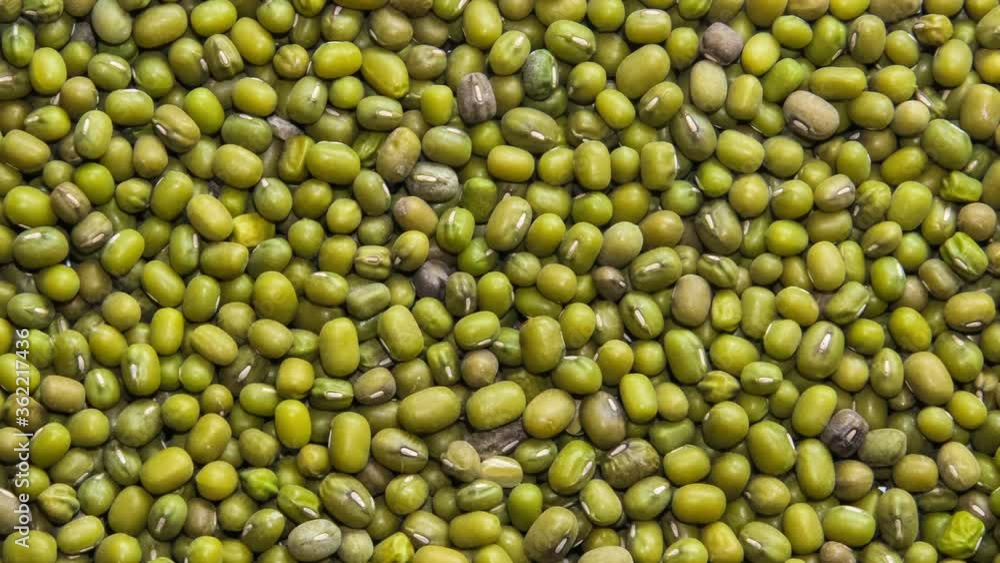 Green mung beans top view, rotation Green mung beans top view, rotation