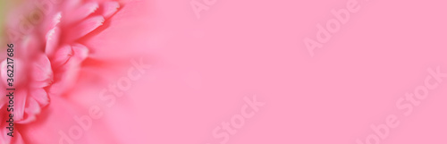 Soft focus blur petal flower. Light pink long horizontal background.