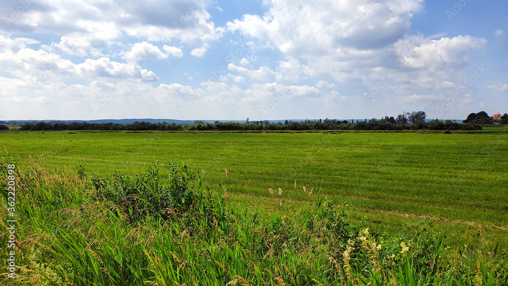Fototapeta premium Polish countryside landscape on a cloudy day