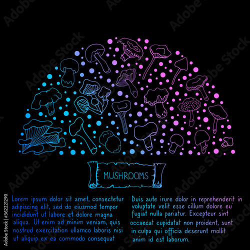Set with mushrooms. Vector isolated illustration with chanterelles, russules, oyster mushrooms, white mushrooms on a white background. Doodle style. Design of logos, books, albums, and magazines.