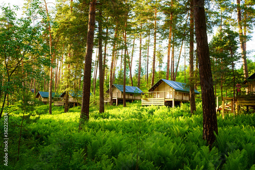glamping house in the woods photo